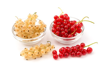 Rote und weiße Johannisbeeren