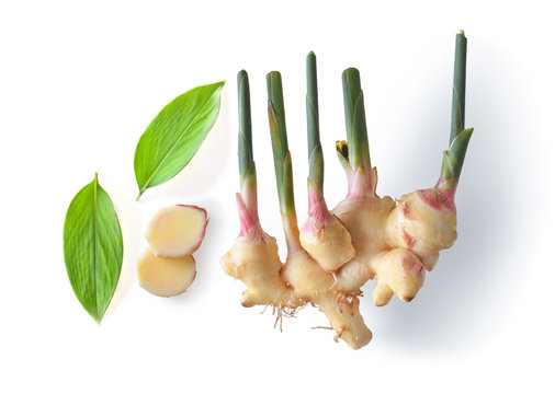 Ginger fresh with leaves Isolated on a white background