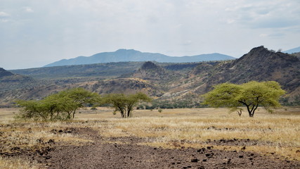 Arid landscapes of Magadi, Kenya