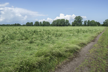 Hochwasserrückhaltebecken Erftstadt-Niederberg