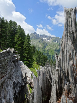 Hohe Tauern Nationalpark, &Ouml;sterreich