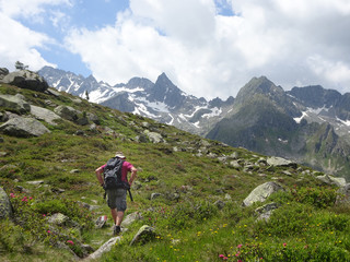 Fototapeta na wymiar Im Nationalpark Hohe Tauern, Österreich