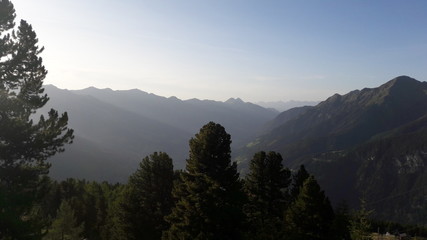 Letzte Sonnenstrahlen im Zirbenwald &uuml;berm Tal