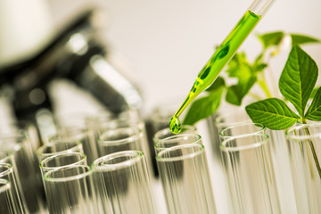 pipette over test tube dropping sample chemical into sample herbal plaint with microscope...