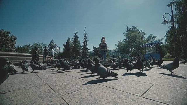 a boy of three years with his mother playing and feeding pigeons in the city Park. slow motion
