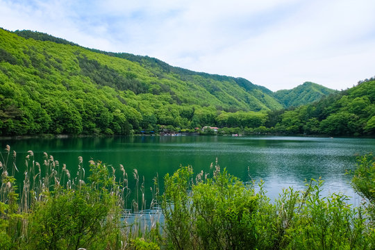 「四尾連湖」の写真素材 53件の無料イラスト画像 Adobe Stock