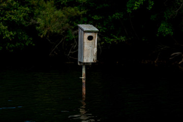 Bird House on Lake