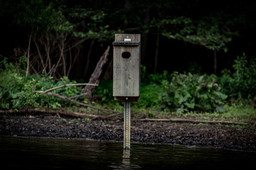 Bird House on Lake