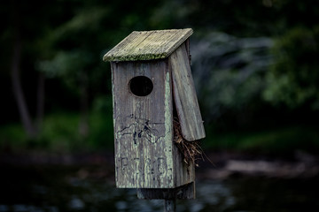 Bird House on Lake