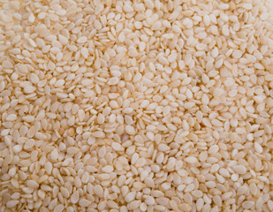 white sesame seeds isolated on the white