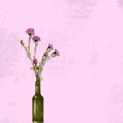 Różowe goździki na różowym tle - 214473913