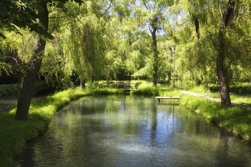 Summer landscape with a pond and wooden bridges