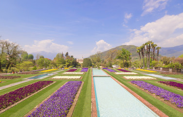 Spring landscape with colorful flowers, Beautiful view of amazing tropical scenery with bright day...