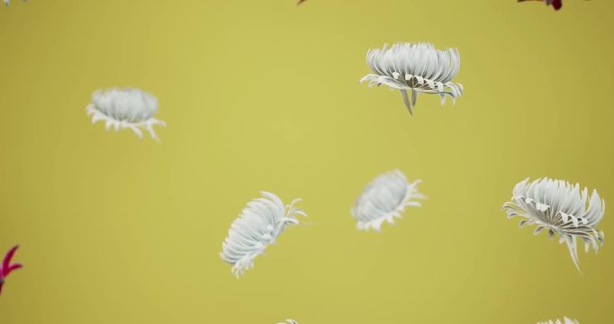 3D rendering looping seamless falling flowers from the sky background