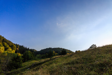 Landscape with green trees and blue sky