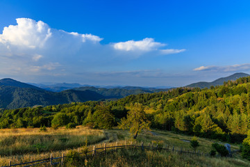 Fototapeta na wymiar Landscape with green trees and blue sky