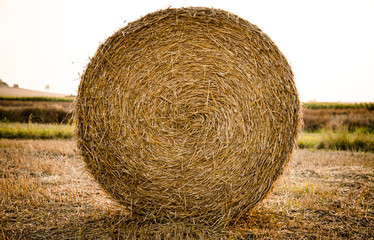 Baloty słomy © andsko