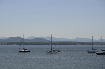 Fototapeta premium Sailboats on the water
