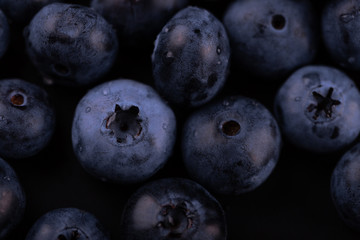 blueberry large ripe fresh