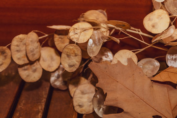 Autumn leaves on a wooden table