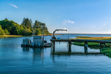 Oyster Harvest