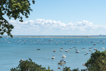 BASSIN D'ARCACHON (France), vue sur la baie et sur l'île aux oiseaux