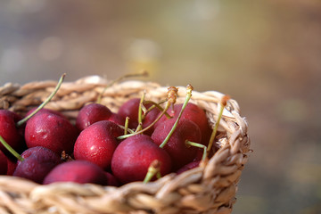 Fresh cherries in the basket