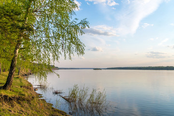 Obraz premium Forest coast of river