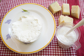 fresh ricotta cheese in plastic mould