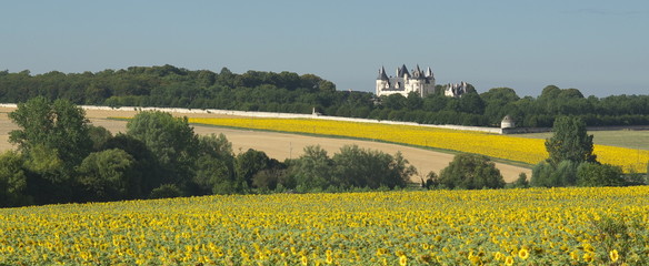 Loire chateau
