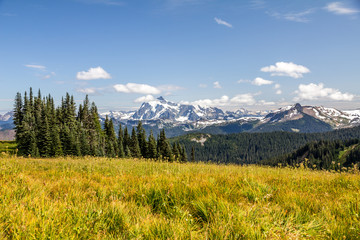 Fototapeta premium View of Mt Shuksan over alpine meadows of Skyline Divide.