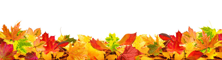 Naklejka na ściany i meble autumn leaves background copy space