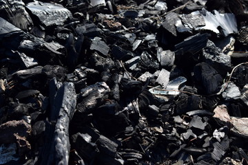 Coal fragments detail