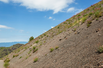 Vesuvius volcano crater