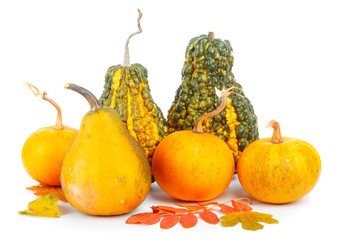 Large pile of ripe  pumpkins with foliage on white isolated background
