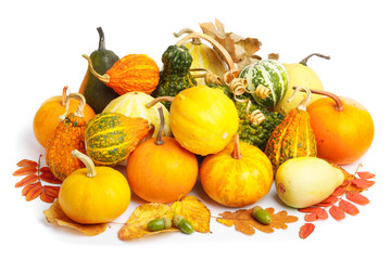 Large pile of ripe  pumpkins with foliage on white isolated background