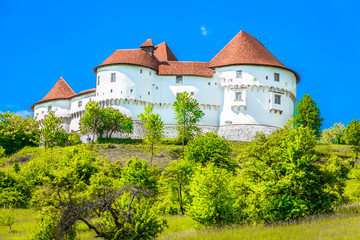 Fototapeta na wymiar Veliki Tabor castle landmark. / Scenic view at medieval castle in Zagorje region, Veliki Tabor landmark.