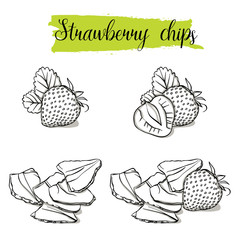 Hand drawn sketch style Strawberry set. Single, group fruits, strawberry chips, slices. Organic food, vector doodle illustrations collection isolated on white background.