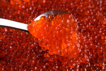 Fresh red caviar in a spoon.