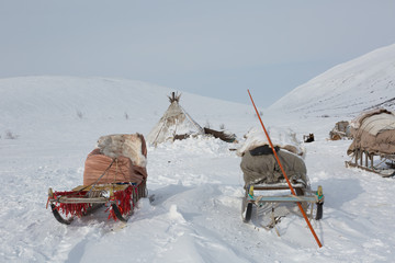 Nenets reindeer herders choom on a winter day