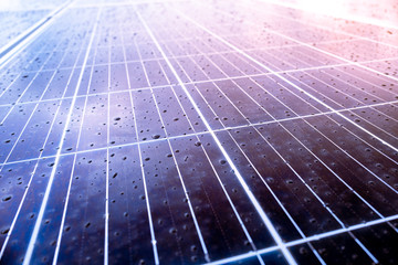 Selective focus thin DOF background of solar cell panels new alternative electric energy
