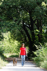 Fototapeta premium A woman dressed in jeans and a red T-shirt is walking with a dog of the Staffordshire terrier breed along the park alley