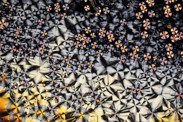 Colorful micro crystals in polarized light