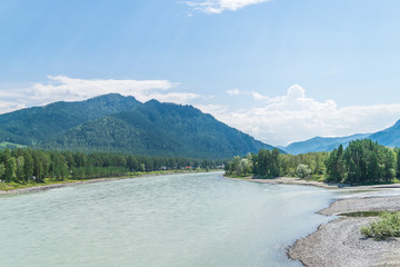 Obraz premium Summer mountain river in the Altai