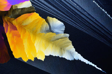 Colorful micro crystals in polarized light