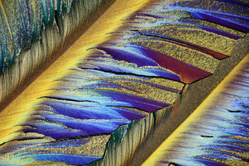 Colorful micro crystals in polarized light
