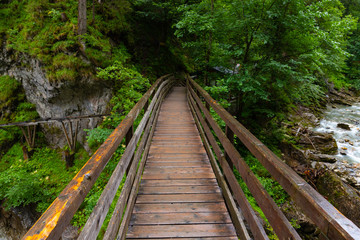 Waldbrücke