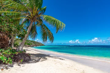 Fototapeten Blick auf den schönen tropischen Strand mit Palme. Urlaubs- und Urlaubskonzept. © sonu_visuals