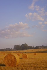 Paysage Campagne 321