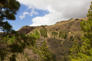 Fototapeta na wymiar Rocky mountain landscape in Gran Canaria. Green forest, natural environement in Canary Islands, Spain. Hiking views, nature connection concepts